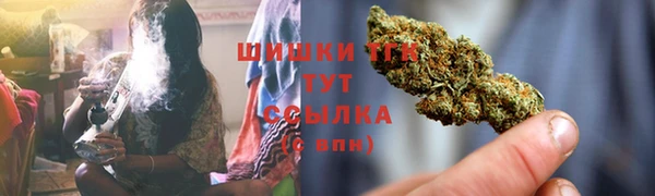 мдпв Киреевск
