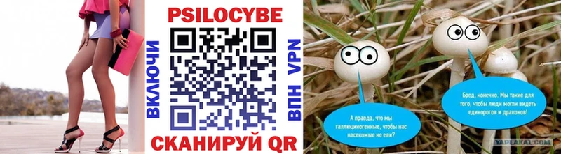 Псилоцибиновые грибы MAGIC MUSHROOMS  Купить закладки  Петропавловск-Камчатский