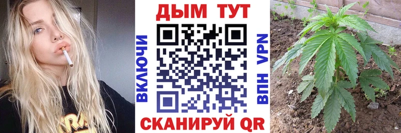 Купить где  Петропавловск-Камчатский  Канабис марихуана